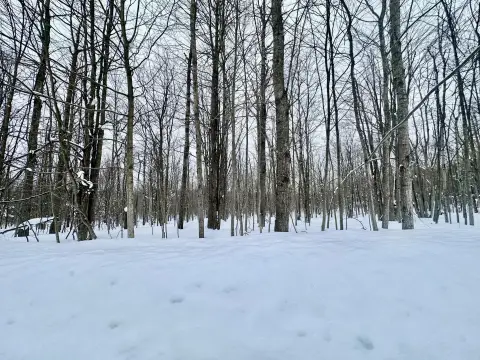 Wooded Lot in Lakes Community