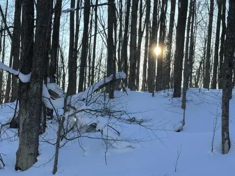 Vanderbilt Land Parcel For Sale