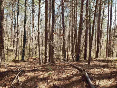 Residential Lot Near Golf Course