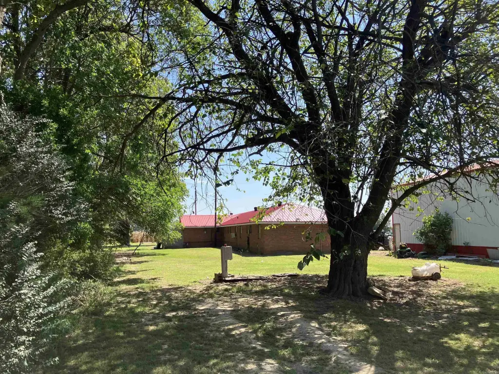 Picture 16