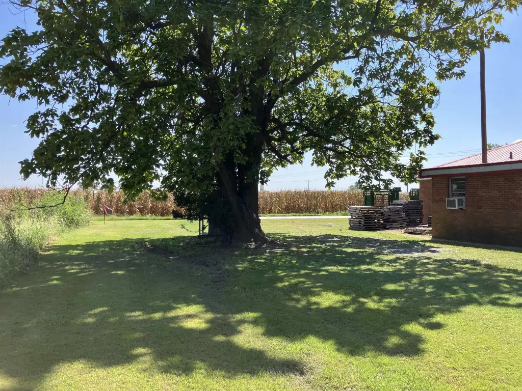 Picture 21