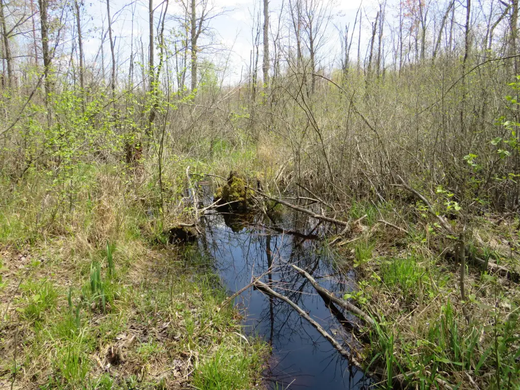 Picture 9