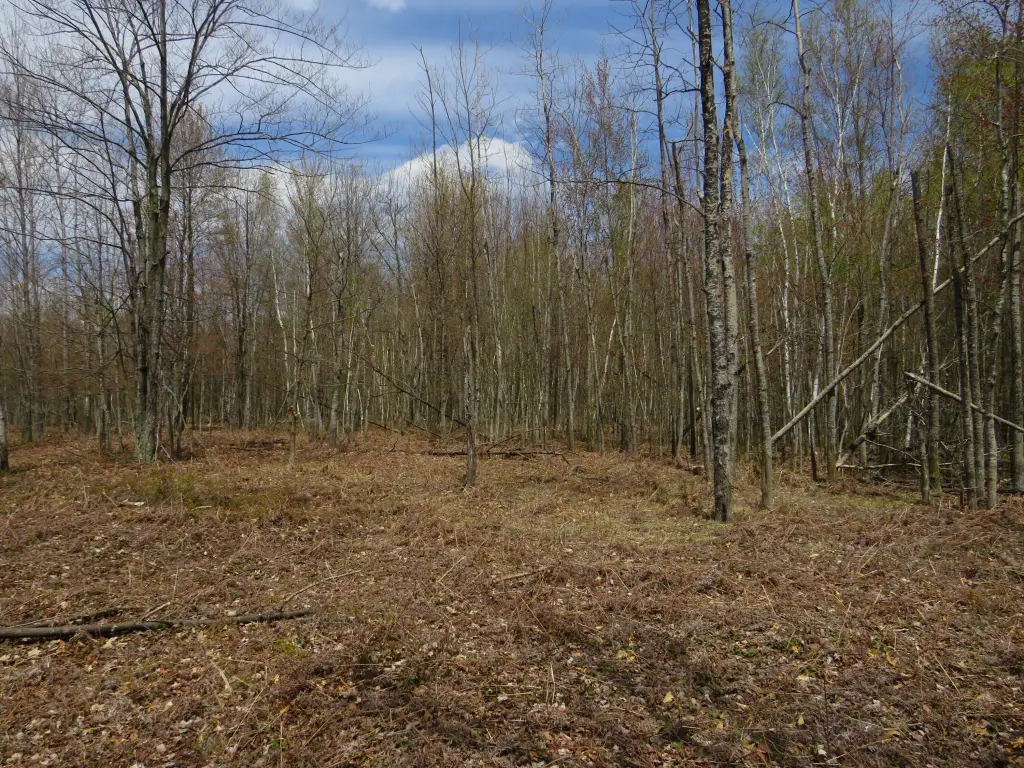 Picture 15