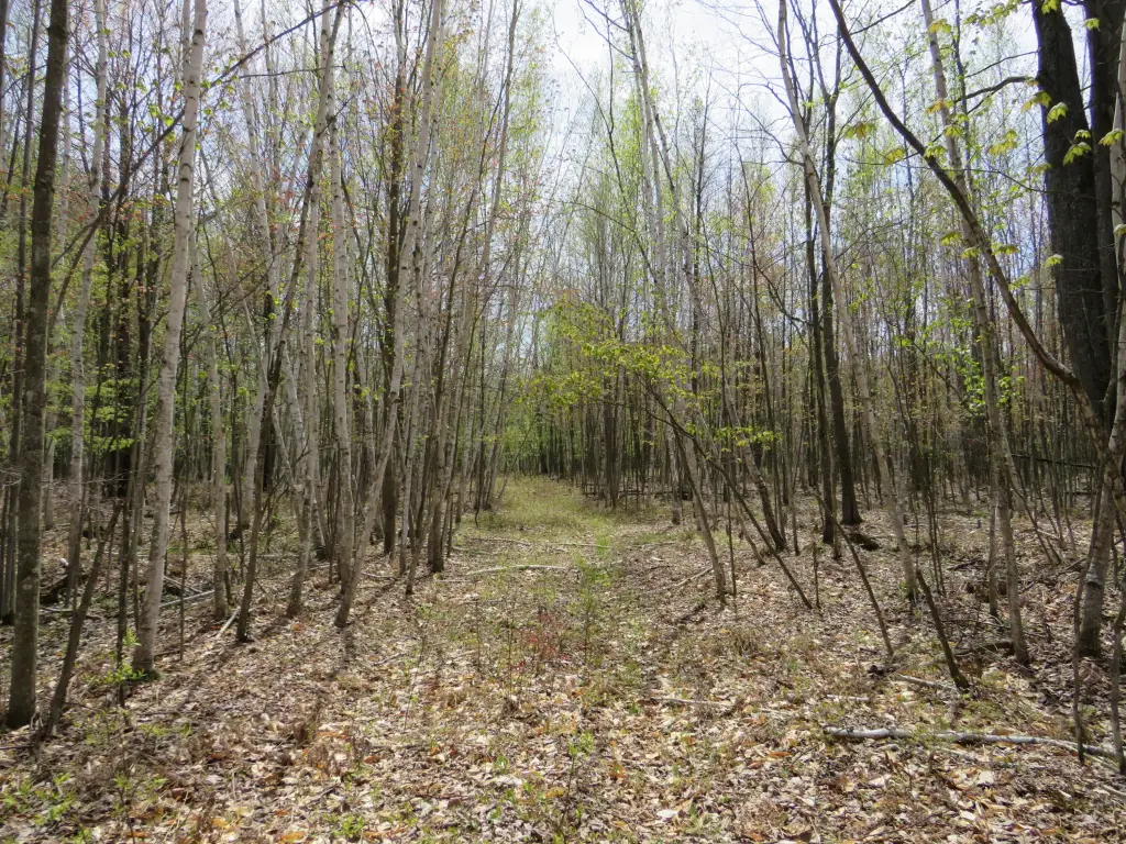 Picture 11