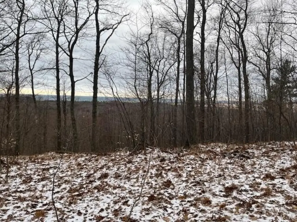 Picture 25