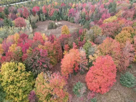 Surveyed Buildable Recreational Land