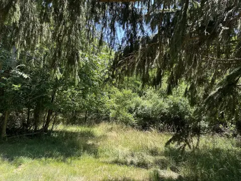 South Haven Vacant Land Parcel