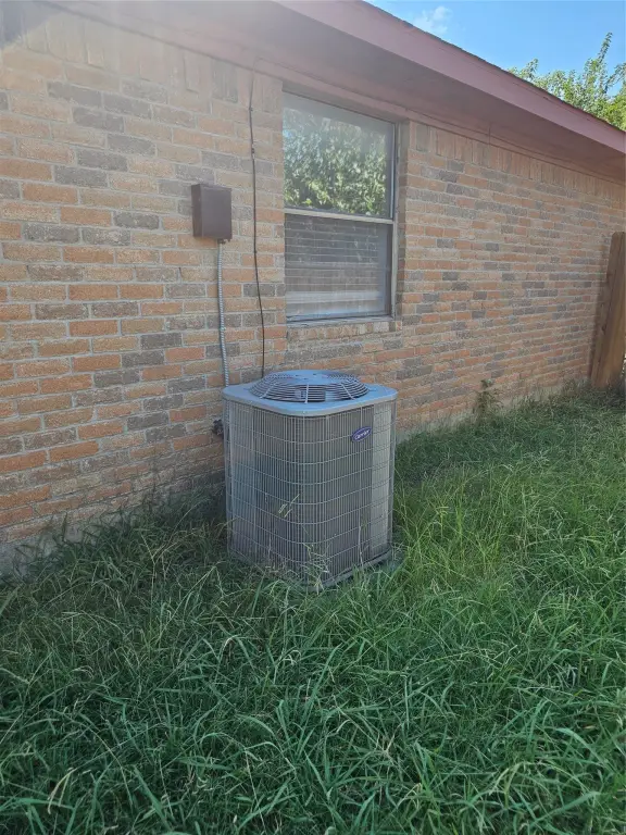 Picture 38