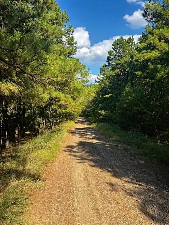 Picture 28