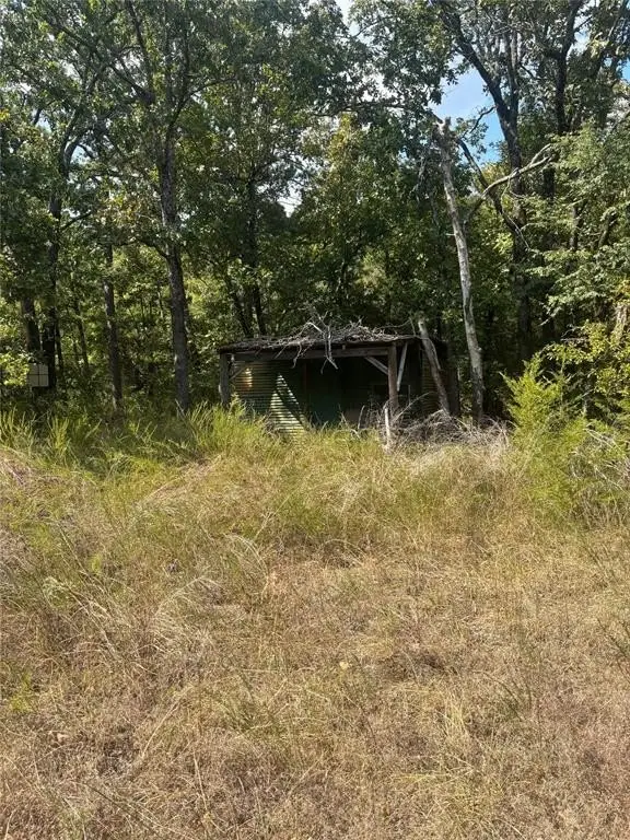 Picture 15