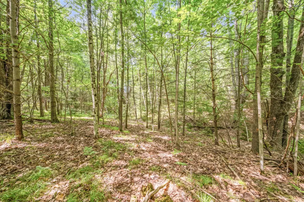 Picture 25