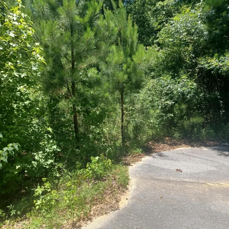 Picture 7
