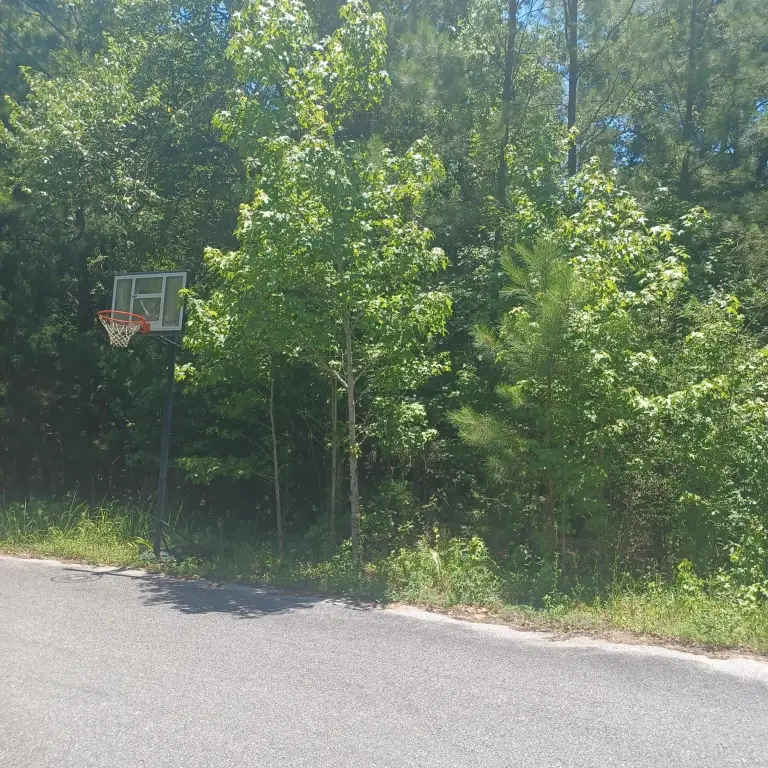 Picture 6
