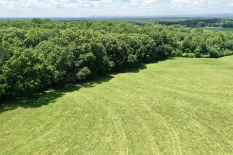 Agricultural Land with Pasture