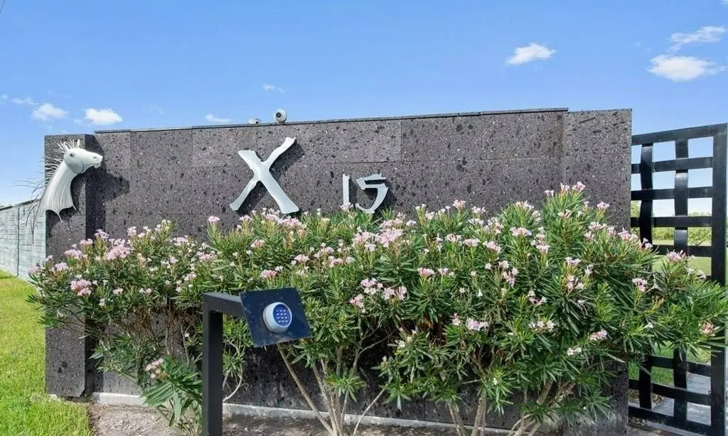 Picture 12