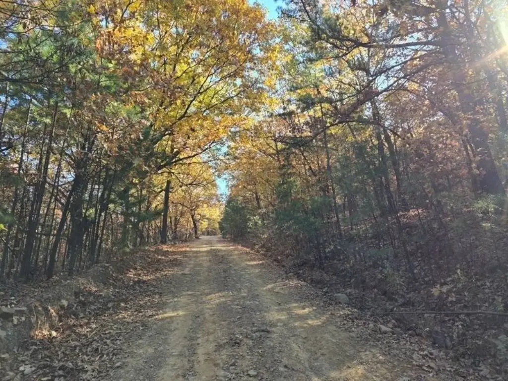 Picture 8