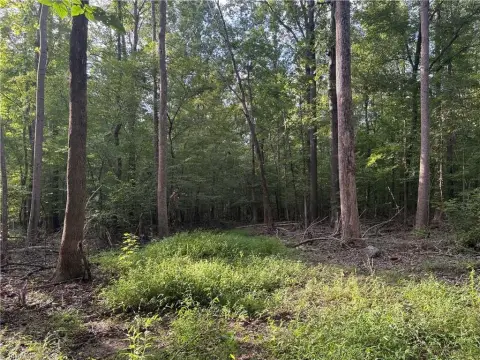 Wooded Land in Guilford County