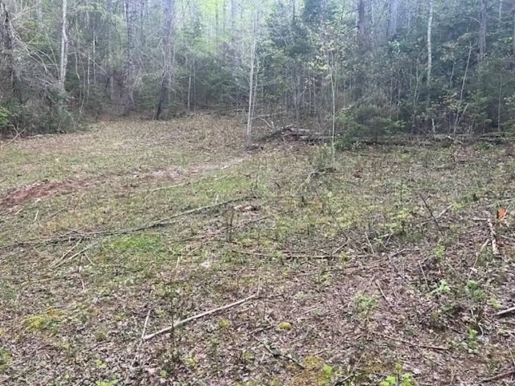 Picture 30