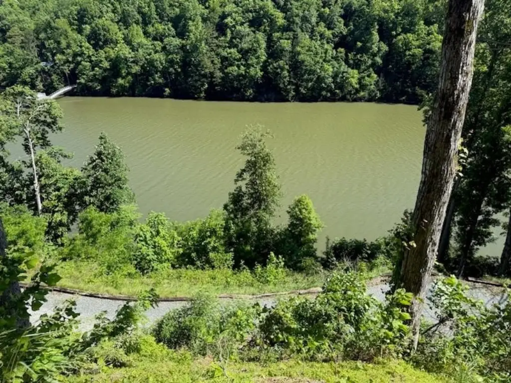Picture 6
