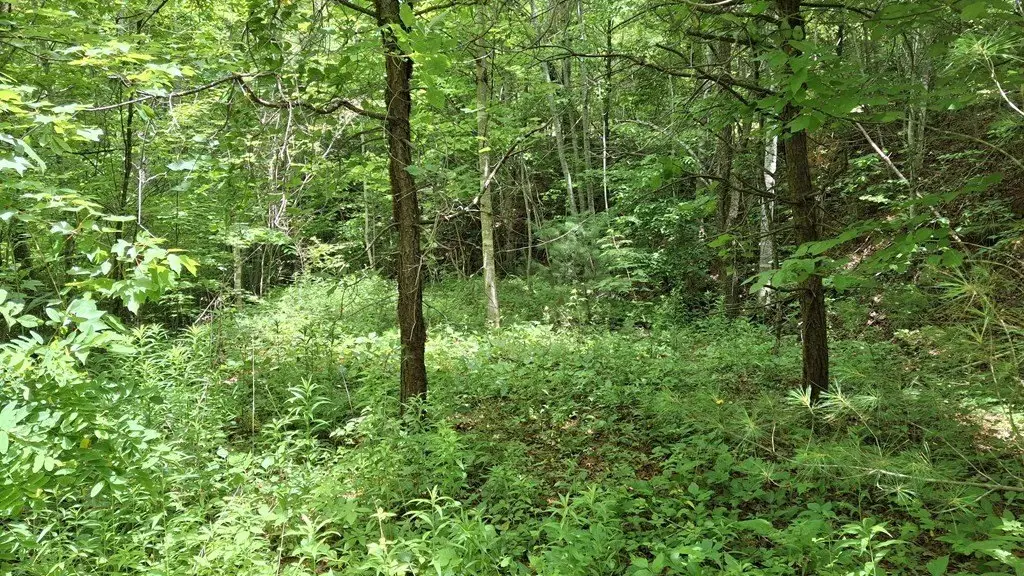 Picture 6