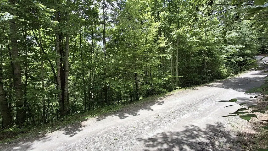 Picture 14