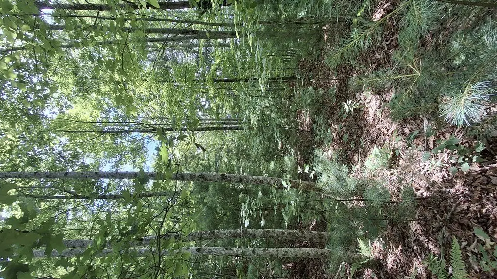 Picture 12