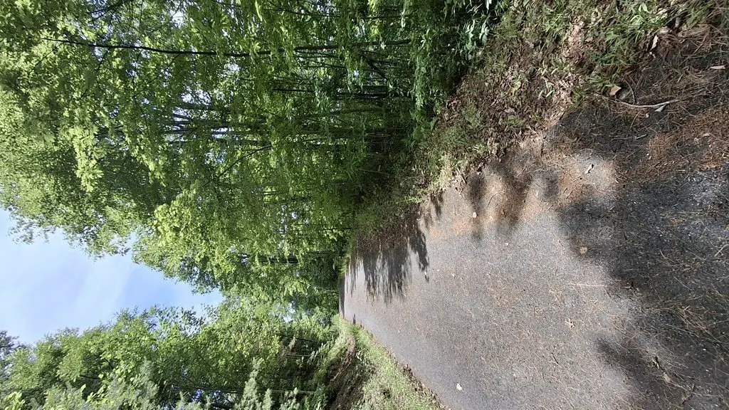 Picture 18