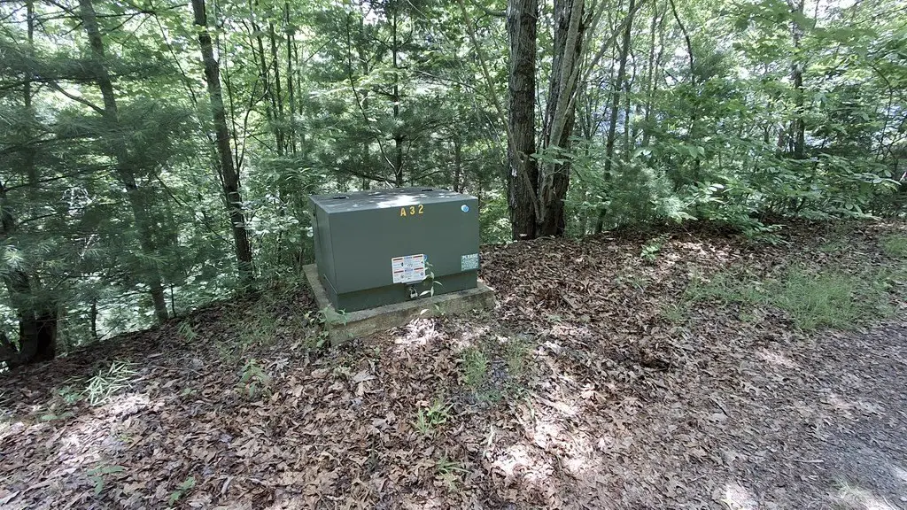 Picture 9