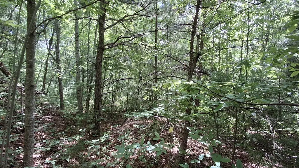 Picture 17