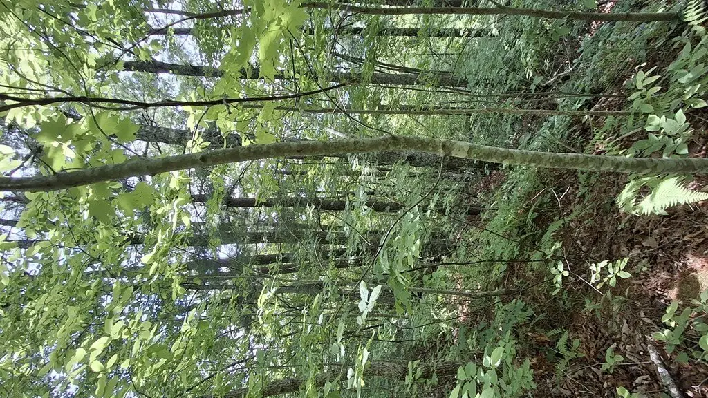 Picture 15