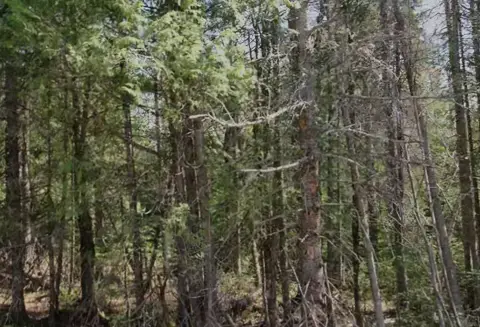 Lakeshore Drive Land Opportunity