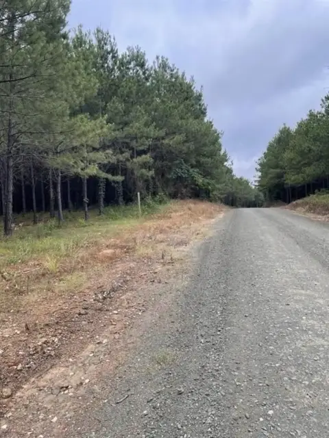 12.38 Acres in Center ISD