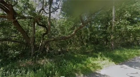 Undeveloped Land Near Dauphin Island