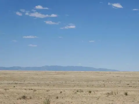 Undeveloped Land Parcel in Belen