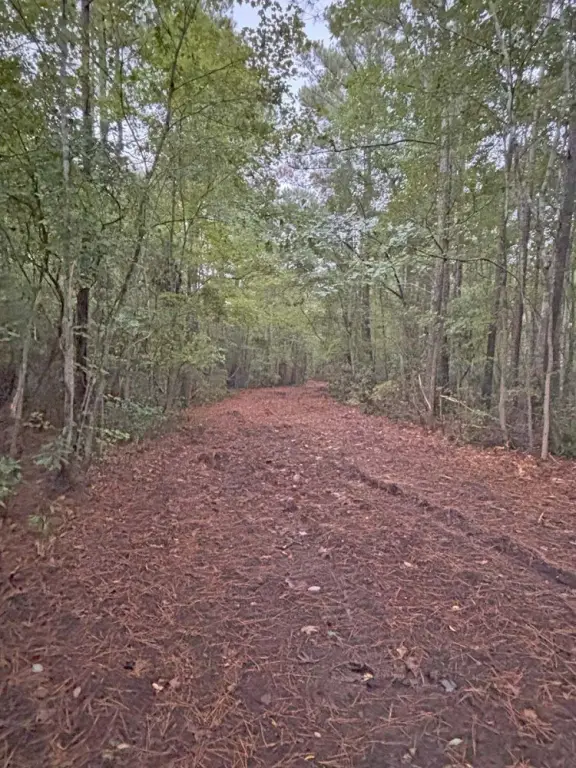 Picture 19