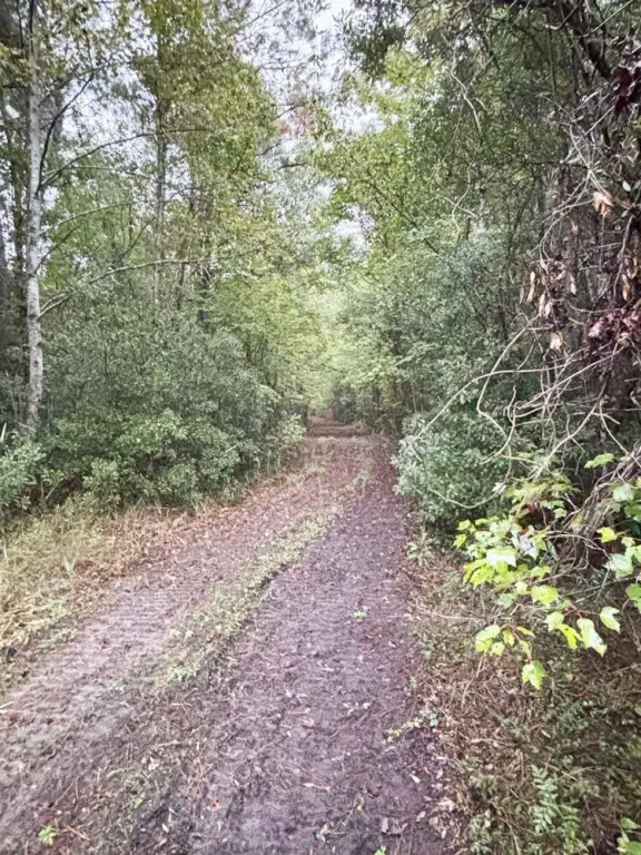 Picture 13