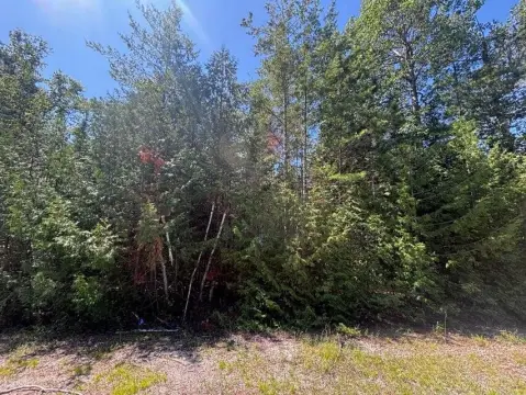 Presque Isle Wooded Quadruple Lot