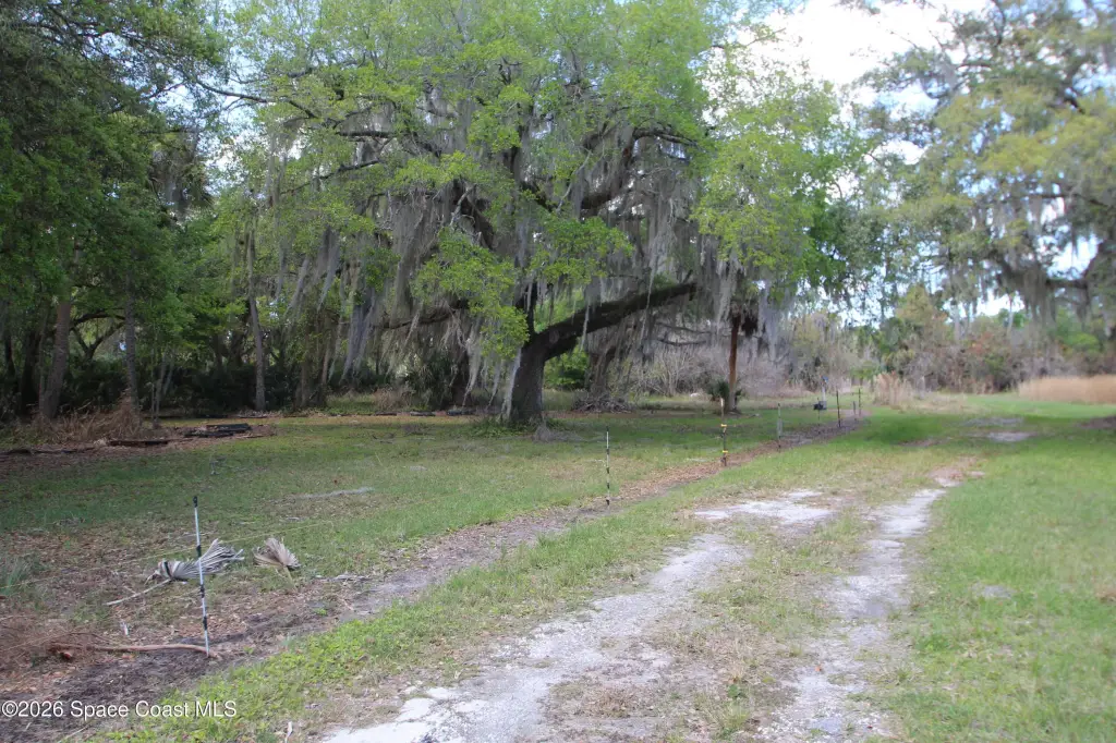 Picture 24