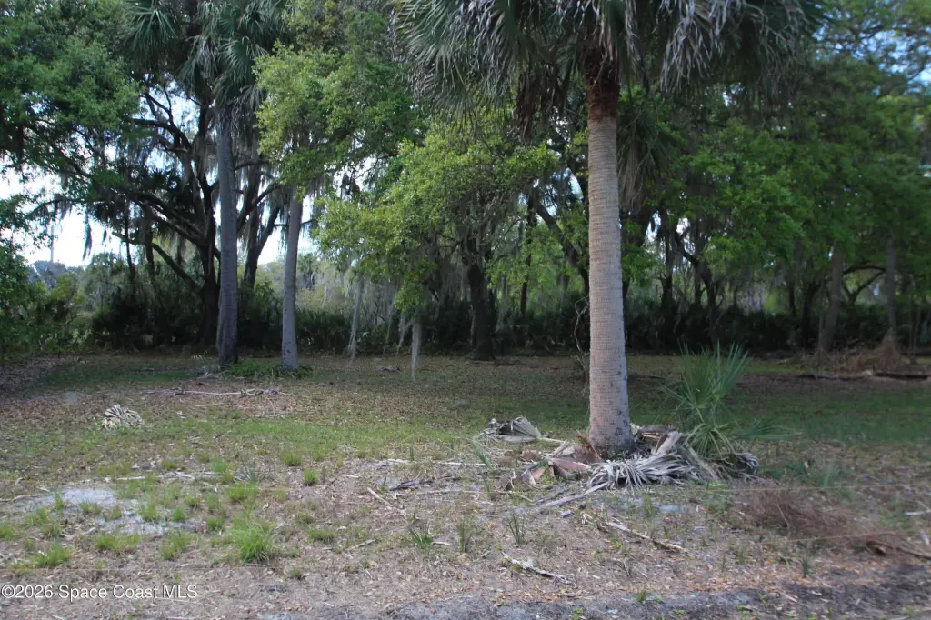 Picture 23