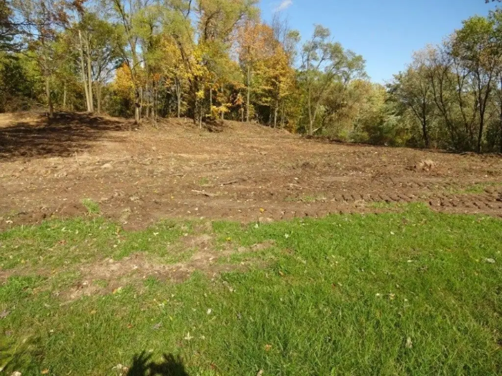 Picture 3