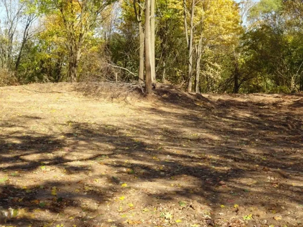 Picture 8