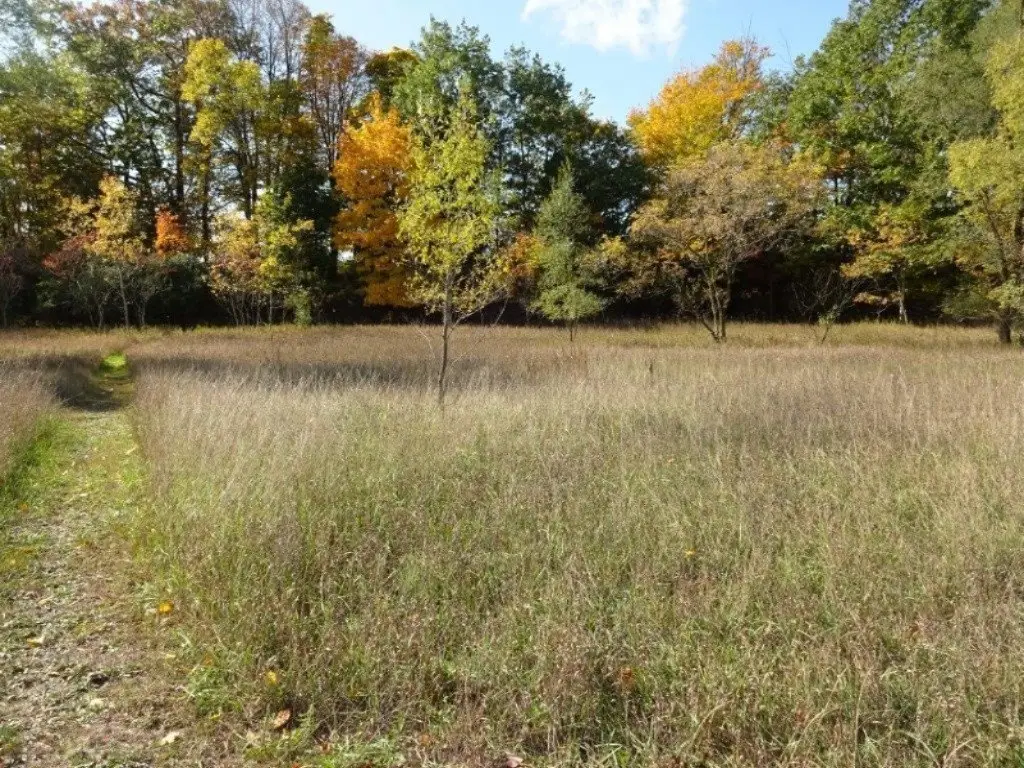 Picture 14