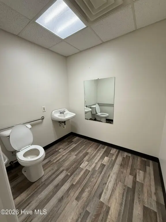 Picture 7