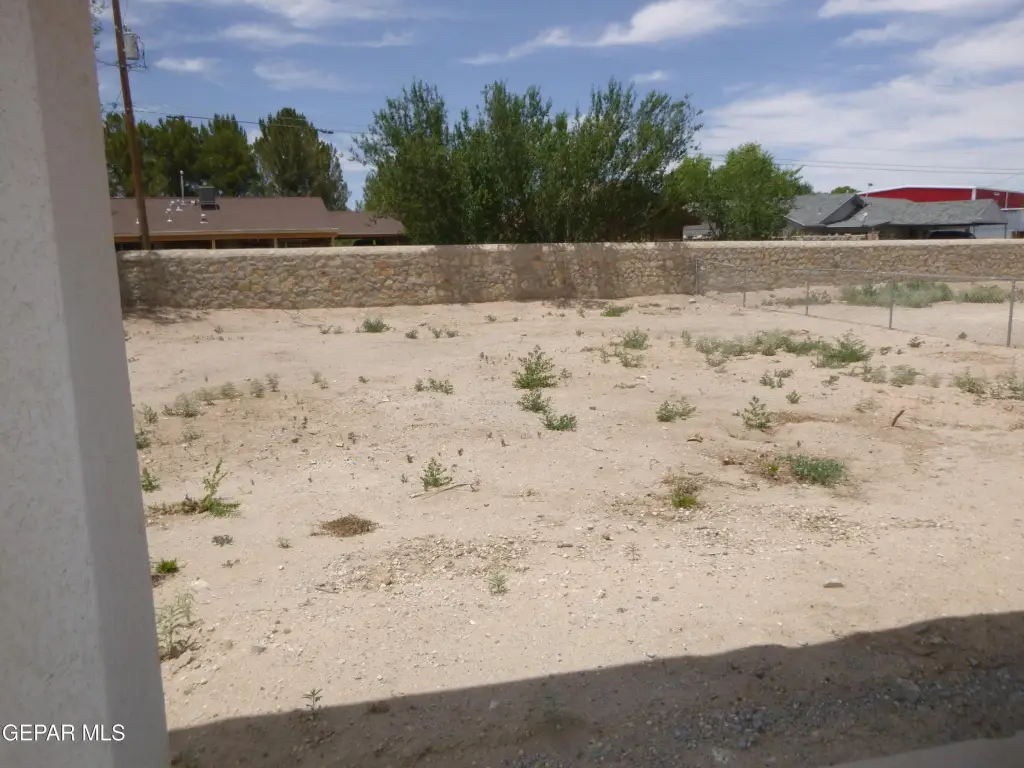 Picture 20