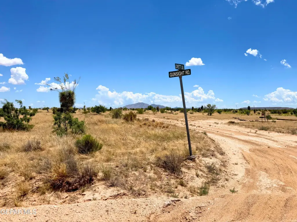 Picture 28