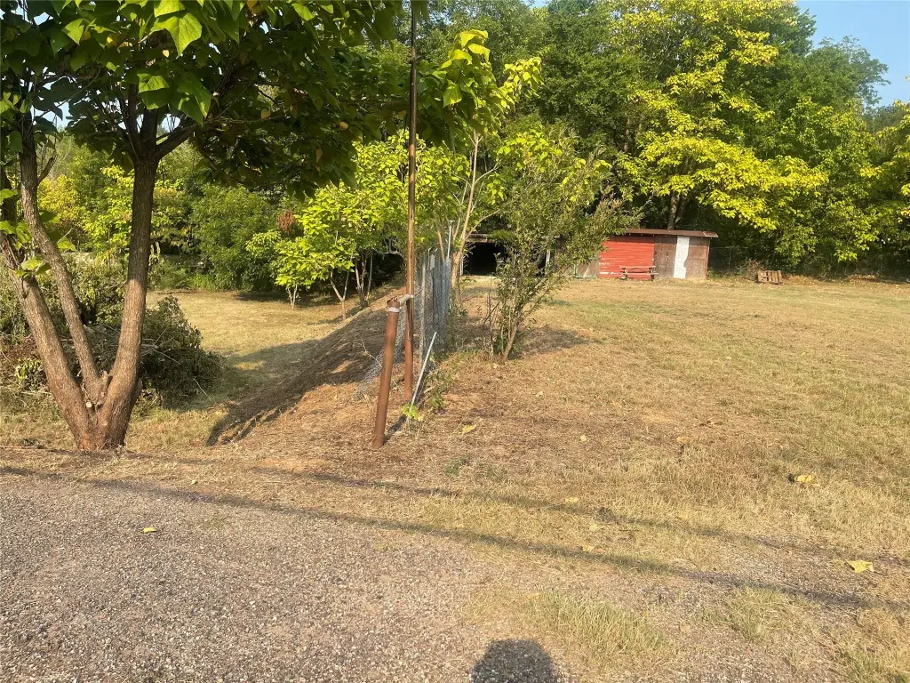 Picture 15