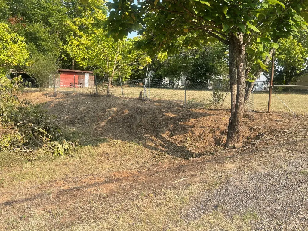 Picture 5