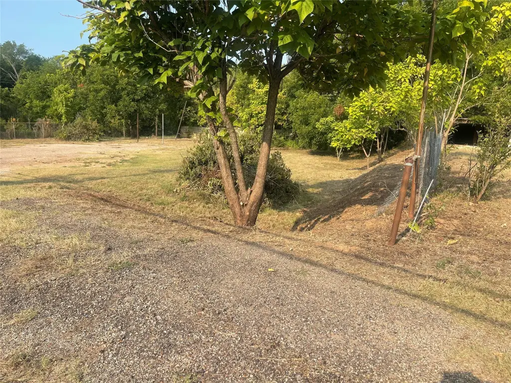 Picture 10