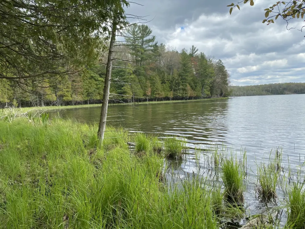 Picture 9