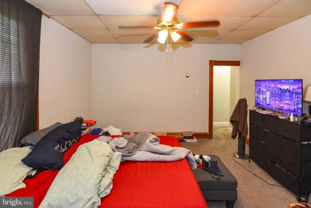 Picture 8
